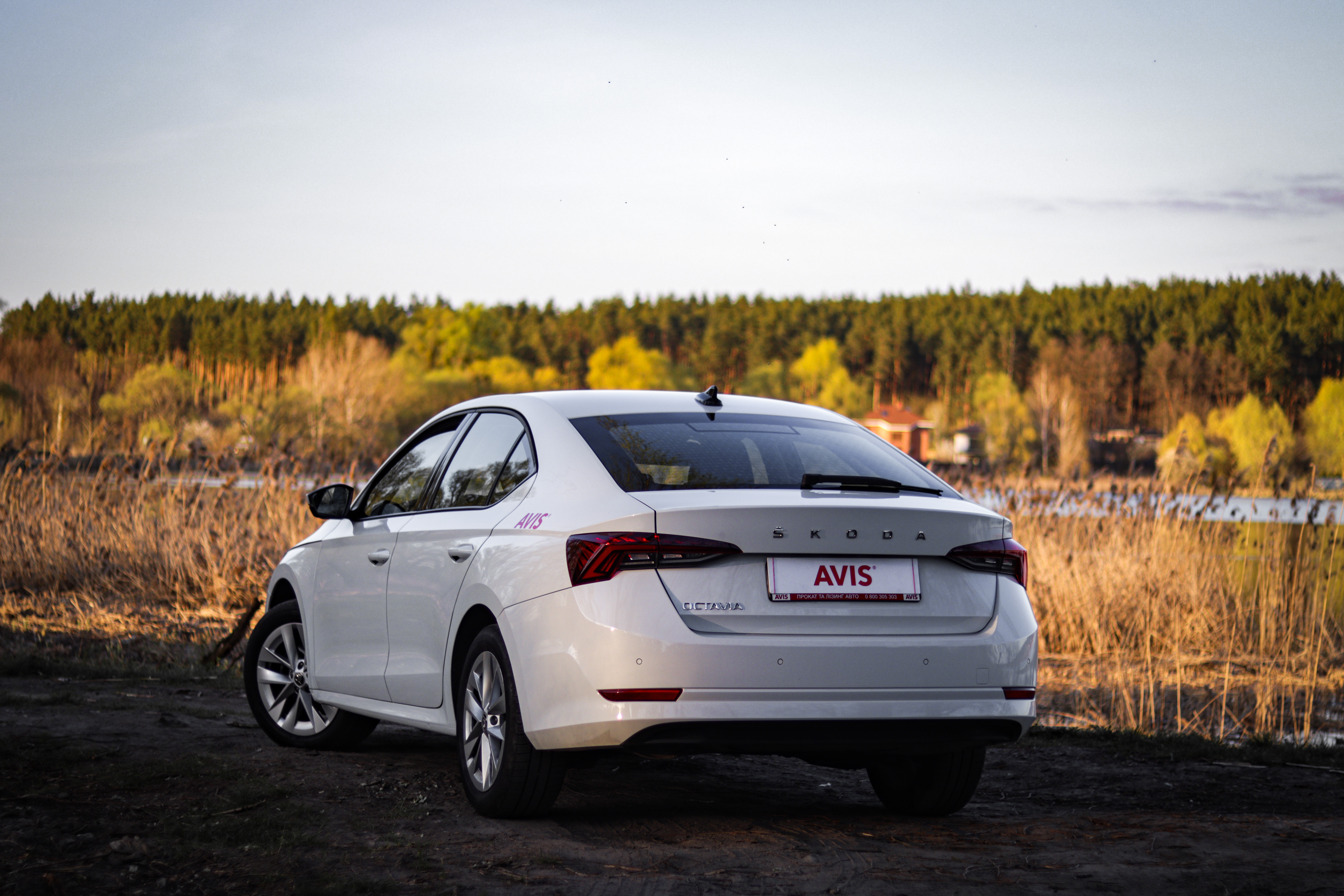 Ford чи Škoda: що краще вибрати, і яка машина дешевша в обслуговуванні Ford чи Škoda: що краще вибрати, і яка машина дешевша в обслуговуванні