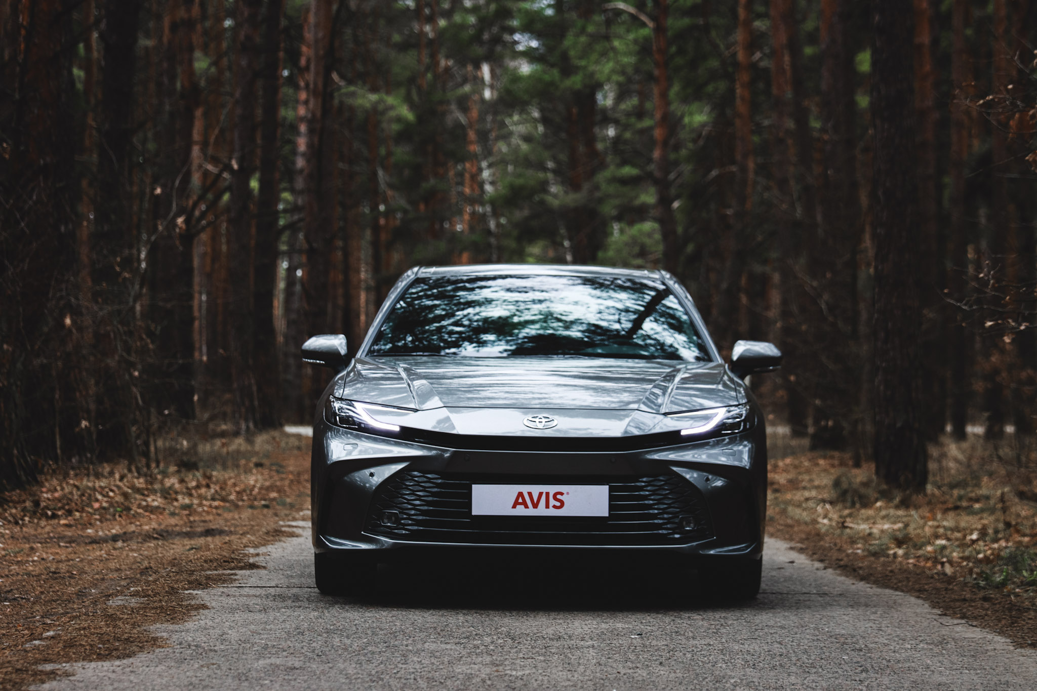 Топ-5 автомобилей, которые чаще всего выбирают для лизинга в Украине