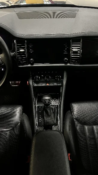Skoda Kodiaq photo-11